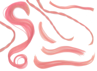 Set of 8 pink hair brushes. Includes braids and curls. Isolated. PNG. Hair samples. Collection of eight. 