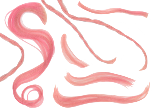 Set of 8 pink hair brushes. Includes braids and curls. Isolated. PNG. Hair samples. Collection of eight. 