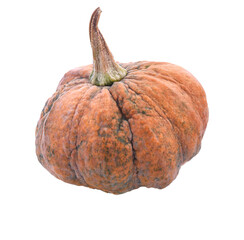 Slice of pumpkin isolated transparent png
