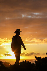 Cowboy silhouette