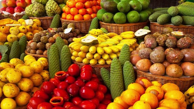 Exotic tropical fruits on the market. Edible bright fruity summer background. Fruit growing, gardening and agriculture. Panoramic movement