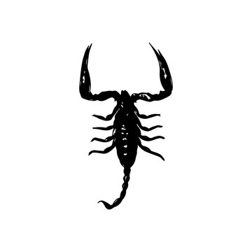 black scorpion silhouette vector illustration