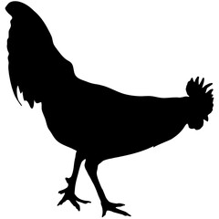 silhouette rooster isolated
