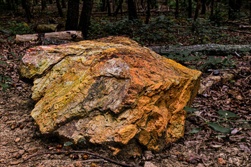 Rock beside the trail