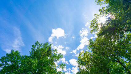 Obraz premium 青空と雲の背景素材