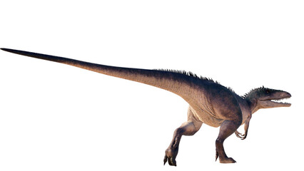 Carcharodontosaurus dinosaur isolated on blank background PNG ultra high resolution