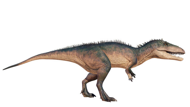 Carcharodontosaurus dinosaur isolated on blank background PNG ultra high resolution