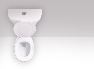 Top view of a Water-Saving Dual-Flush Toilet with two flush buttons or a two-stage lever. One...