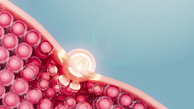 3D rendering animation, Drop oil absorbed into layers of skin to nourish and repair skin, Cosmetic serum Oil drop on Saggy skin cell, design for use in skin cream advertisements, beauty skin concept