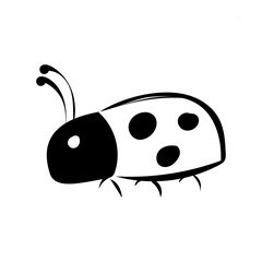 Obraz premium Marienkäfer 