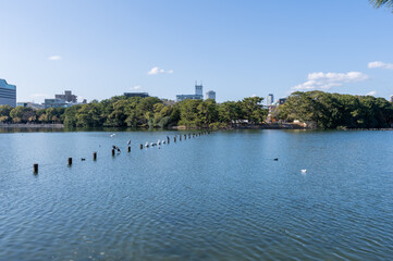 Fototapeta na wymiar 福岡県福岡市の中心で市民が憩いの場として慕う大濠公園の景色