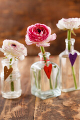 ranunculus in vase on wooden background