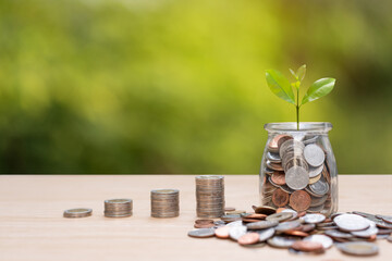 Money saving concept, Money increase and growing up, Money stack increase growing up, Investment Concept