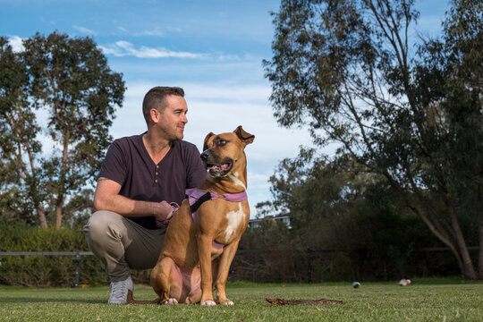 Man and Crossbreed Dog Squatting in Park