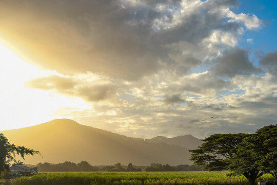 Golden hour over the green hills and fields of Cairns in Far North Queensland, Australia &mdash; as seen from the Kuranda Scenic Railway steam train
