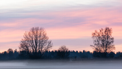 Fototapeta na wymiar Roter Sonnenaufgang über einer nebeligen Wiese mit Bäumen als Relief.