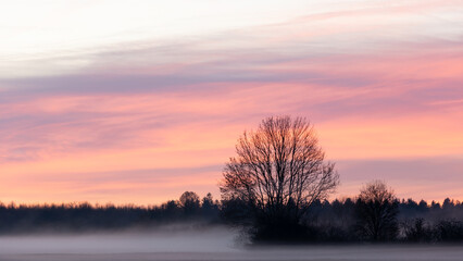 Fototapeta na wymiar Roter Sonnenaufgang über einer nebeligen Wiese mit Bäumen als Relief.