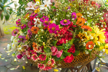 Colorful bloom flowers in bouquet. Festive background, pastel and flora in valentine day.