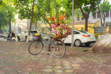 Fototapeta na wymiar A bike with colorful bloom flowers in bouquet in Hanoi, Vietnam. Festive background, pastel and flora in valentine day.