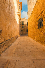 Ancient narrow medieval cobblestone street in town Mdina, Malta with nobody in sunny day. Vertical orientation