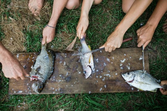 Preparing fresh caught fish