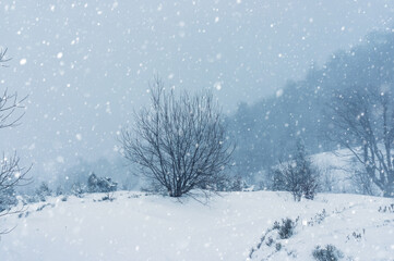 Heavy snowfall in the mountains. Heavy rainfall, dangerous weather for tourists.