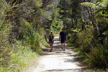 Fototapeta premium A European female and male walking through the native bush on the Abel Tasman National Park track, in summertime in New Zealand