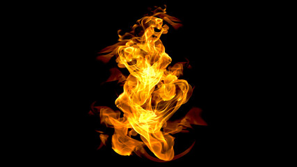Fototapeta premium Blazing Wildfire