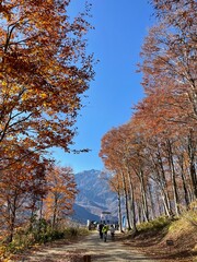 山と紅葉(2)