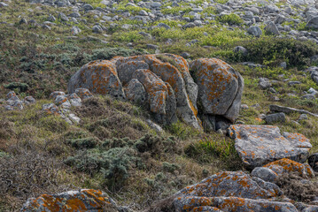 Spotted rocks in the mountains landscape with grass, Portugal