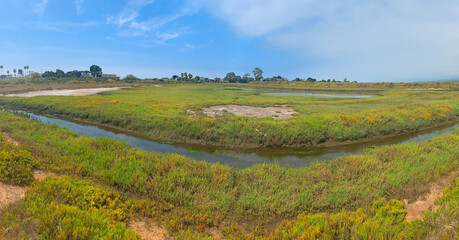 Fototapeta na wymiar Panorama of Carpinteria Salt Marsh, Santa Barbara County