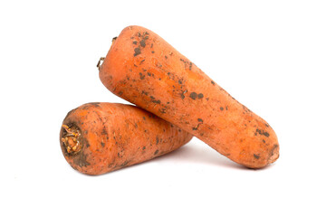 Dirty carrots on a white background.