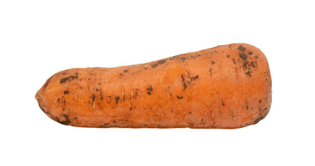 Dirty carrots on a white background.