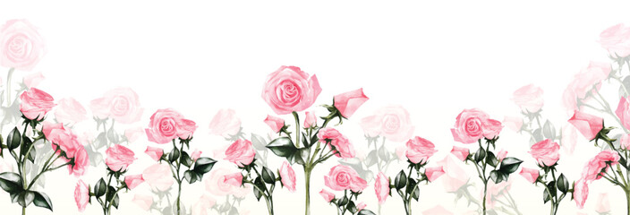Watercolor of rose background vector