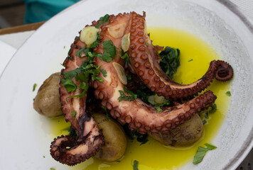 Portuguese Polvo A Lagareiro grilled octopus with baked fingerling potatoes. Grilled tentacle octopus with roasted vegetables.Cooked octopus.