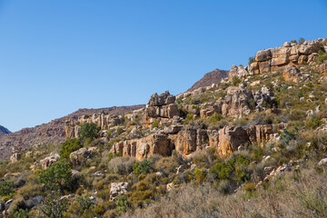 Fototapeta premium Beautiful rocky landscape in the Cederberg on a sunny day, blue sky, green shrubs, Western Cape, South Africa