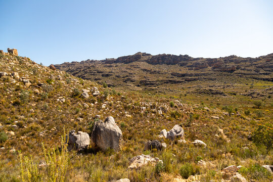 Beautiful rocky landscape in the Cederberg on a sunny day, blue sky, green shrubs, Western Cape, South Africa