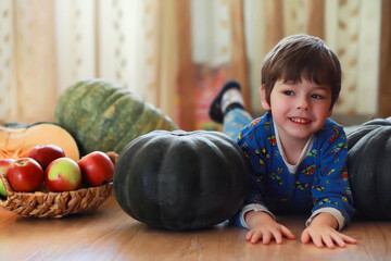 Fototapeta premium Little child choose a pumpkin at autumn. Child sitting on giant pumpkin. Pumpkin is traditional vegetable used on American holidays - Halloween and Thanksgiving Day.