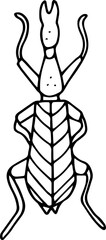 Hand drawn beetle icon in doodle style. Vector children's illustration for coloring.
