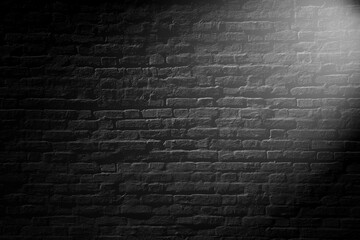 Fototapeta na wymiar Black brick wall in sunlight background