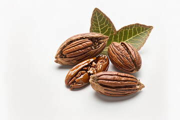 Isolated fresh pecan nuts on a white backdrop. Generative AI