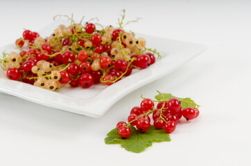 Fresh red and white currant berries on a plate - 559361174