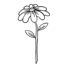 hand drawing style of flower vector. Suitable for iconic icon.
