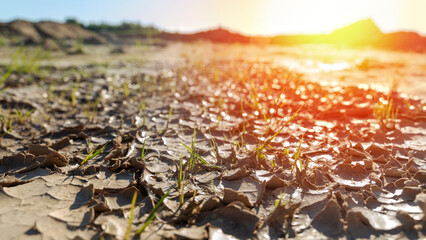 cracked earth under the hot sun