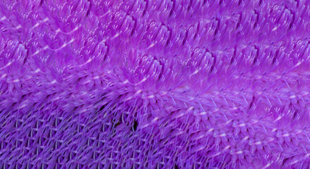 a background made with thistle flower