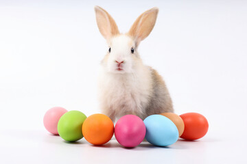 young baby rabbit with easter eggs on white background