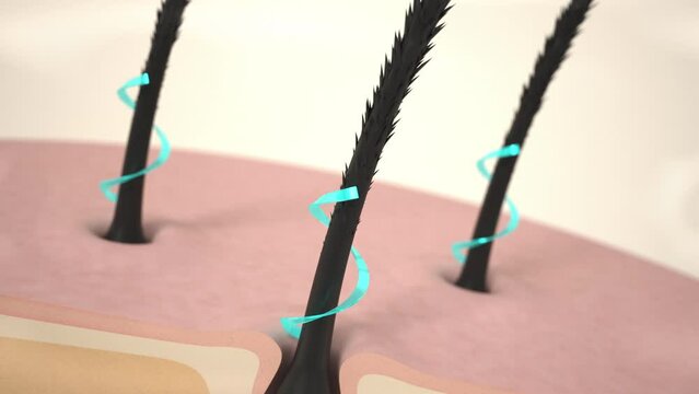 Oil Hair repair care product. Restoration of the hair structure. The problem of split ends