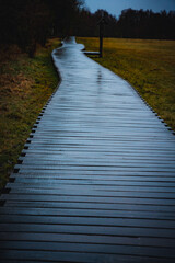 Obraz premium Moor, Moorweg, Weg, Bohlenweg, Schwarzes Moor, nass, Regen, Moor