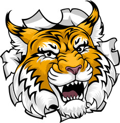 A wildcat or bobcat sports team cartoon animal mascot