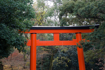 Torii gate in the Shimogamo Shrine. Shimogamo. Kyoto. Japan.